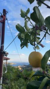 Himara SkyView