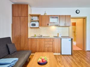 Studio Horní Rokytnice-1 by Interhome
