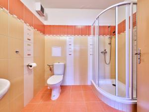 Studio Horní Rokytnice-1 by Interhome