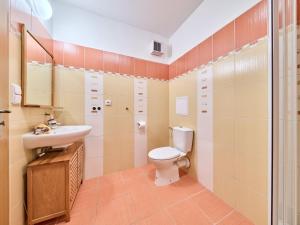 Studio Horní Rokytnice-1 by Interhome