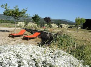 Gite vue sur les lavandes Mont Ventoux, Sault