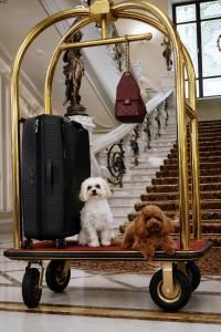 Hotel Bristol