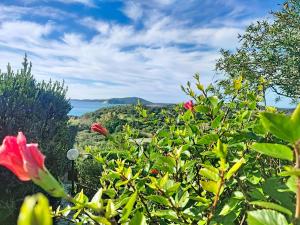 Holiday Home Casetta Nel Blu by Interhome