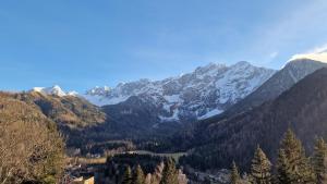 Alpine Nest, Jezersko
