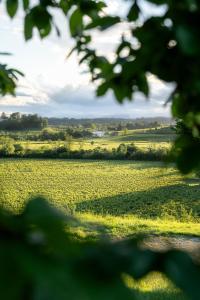 Tenuta Malvolti - Al Vecchio Convento