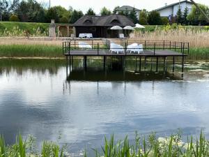 Cabin by the pond