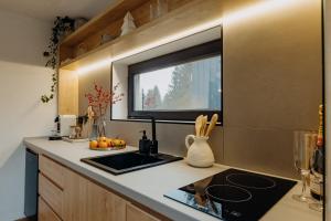 Monside Resort - AIR CABIN