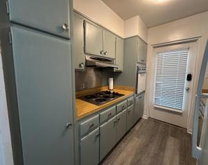 Lake Eola view 1 bedroom Thornton Park