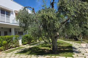 Pilone del Monaco Apartment 9