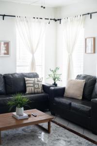 202, Ocean Side, Patio, Laundry, Desk