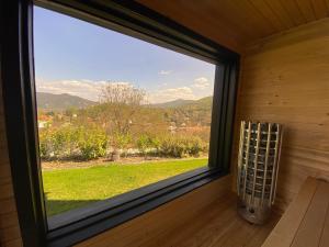HelloView