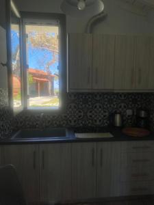 Small House