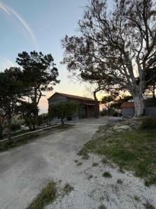 Small House