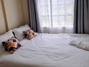 Mshindis Haven Stylish Stay