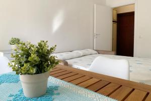 Studio Sole img10
