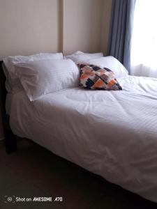 Mshindis Haven Stylish Stay