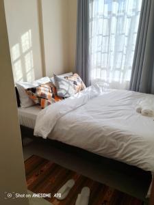Mshindis Haven Stylish Stay