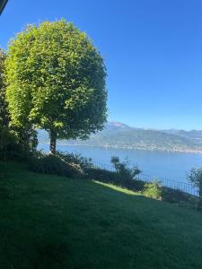 Stresa Imperial Lakeview and Pool - Villa Campino