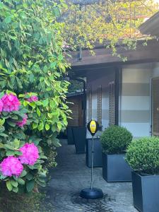 Stresa Imperial Lakeview and Pool - Villa Campino