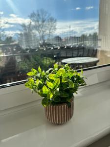 Apartament Młyńska II 200m od plaży