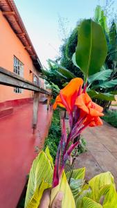 Therealsonofjohnhomestay