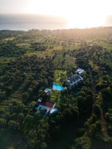 Palm Springs Bali Dive Resort