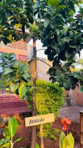 Therealsonofjohnhomestay