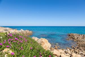 B&b Giglio di Mare