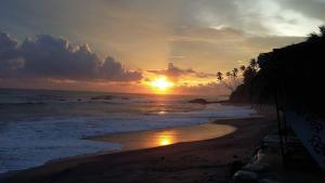 Seasons Four Jungle Treehouse