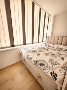 Modern Apartment