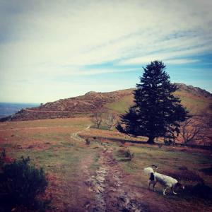 Studio in the heart of the Basque mountains