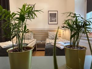 #VisitLublin Apartments City Center Narutowicza