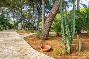 Appartamento Iremar B1 - MyHo Casa