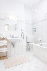 Großes 3-SZ Apartment im Herzen von Neukölln
