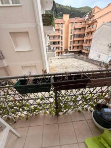 Adriatic Apartment