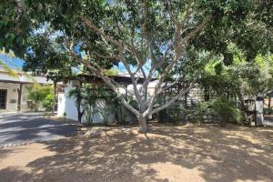 Casita Watts