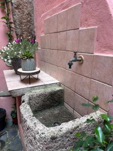 Is Domus img40