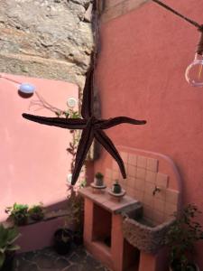 Is Domus img41