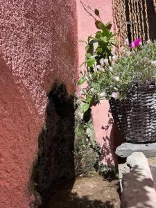 Is Domus img43