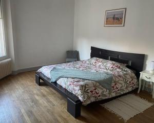 Appartement spacieux cosy centre Epinal !!!