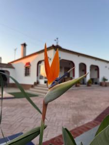 Antigua Villa Medina