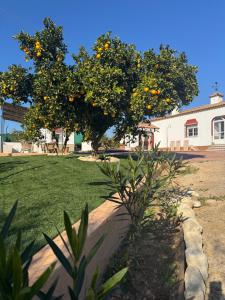 Antigua Villa Medina