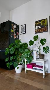 Luksusowy Apartament Taczaka 21