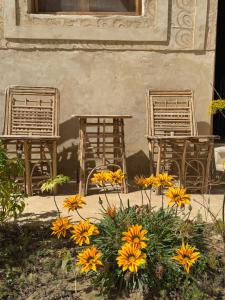 فندق إريغن Erighin siwa hotel