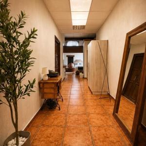 Suite copal ll