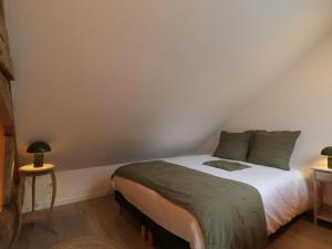 Grand duplex, animaux admis - 810 pers. - FR-1-497-266