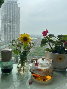 Canary Nest Solforest Ecopark Homestay