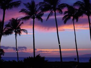 Waiohuli Beach Hale #D-221 Oceanfront View, Amazing Sunsets, Pool in Complex