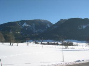Bauernhof Plachl