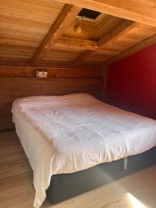 Demi Chalet with garden a Megeve